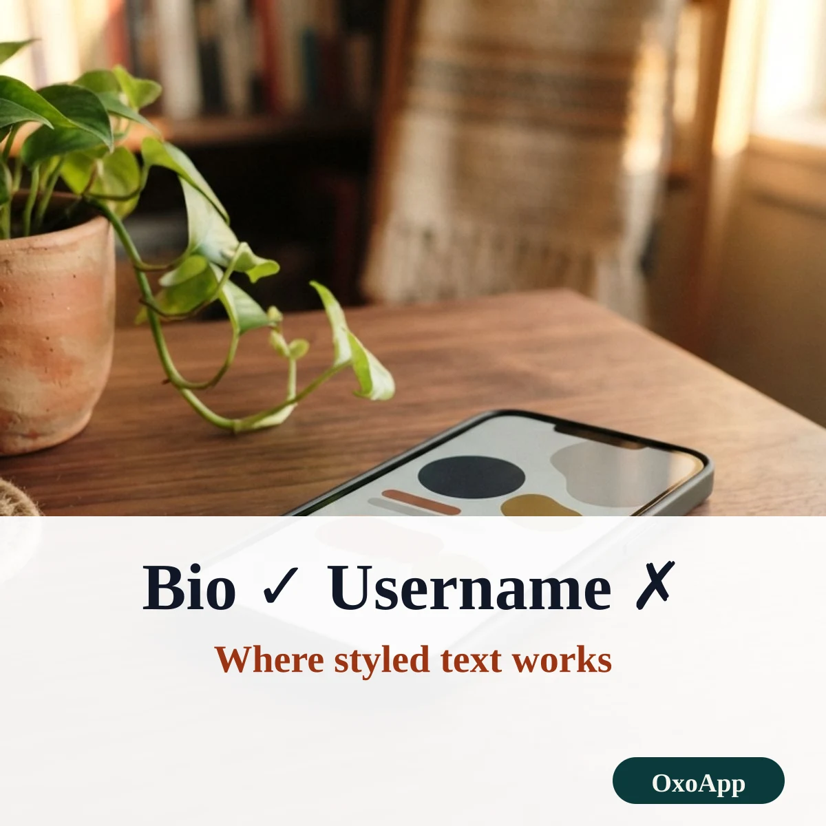Styled text works in a bio or name field but not in a username