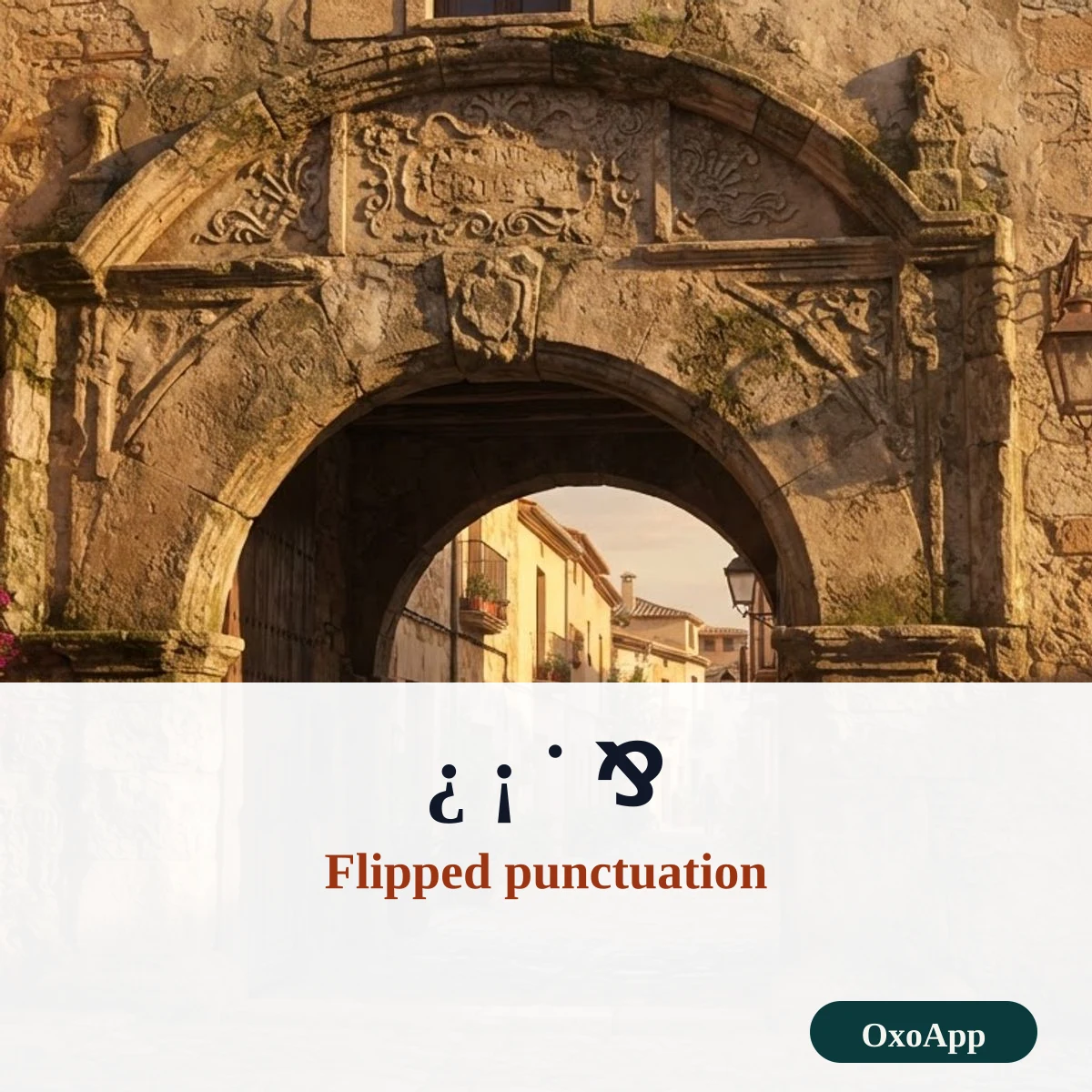 Inverted question mark and exclamation mark used in flipped text